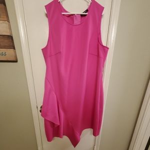 Pink Rebel Wilson Dress